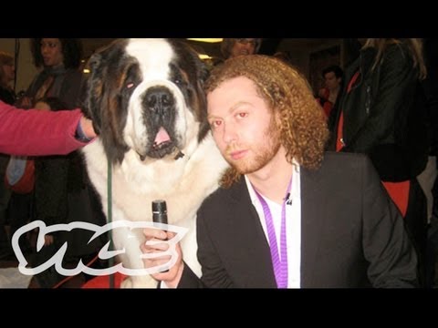 Westminster Dog Show... On Acid!