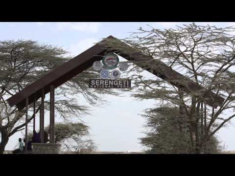 Travel Guide for Tanzania- Mt. Kilimanjaro and Safari Trek