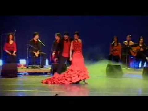 FLAMENCO DANCE Jennifer Lopez AMAZING On The Floor Pitbull Baile Gitano JayZ A Keys Zumba