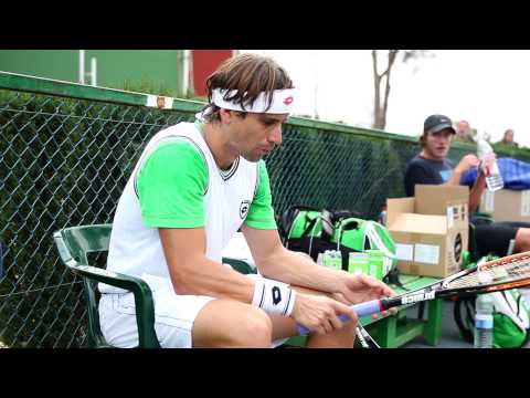 The World of David Ferrer