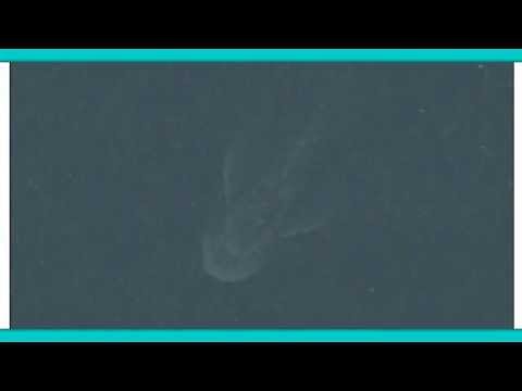 Crazy! Real Loch Ness Monster Caught On Apple Satellite Image!