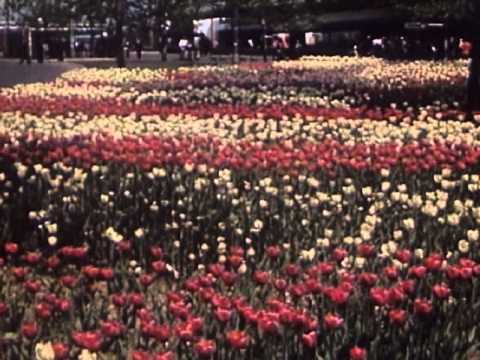 New York World's Fair, 1939-40 (Reel 6) (Part II) (1939)