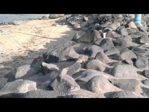 Jeddah Saudi Arabia very dirty beach