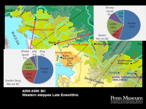 Horseback Riding and Bronze Age Pastoralism in the Eurasian Steppes