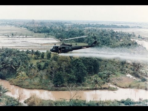 Chemical Warfare in the Vietnam War: Effects of Agent Orange - Noam Chomsky (2011)