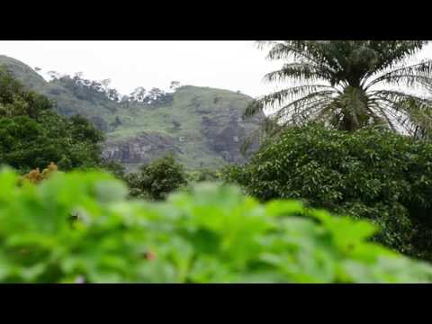 Côte d'Ivoire Tourisme:Découvrez toute la diversité et les richesses de la Côte d'Ivoire