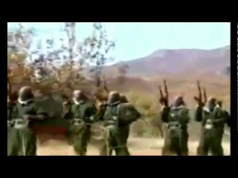 HPG Kurdish People's Defence Force