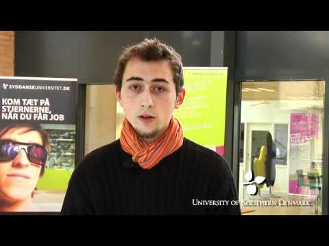 Economics and Information Technology, University of Southern Denmark