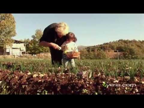 Saffron Harvest | What is Organic | Video | Veria Living