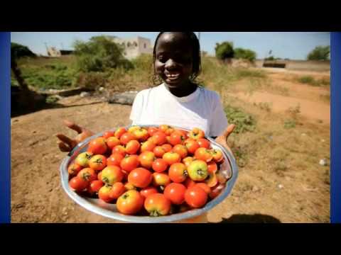 Tourism in Senegal