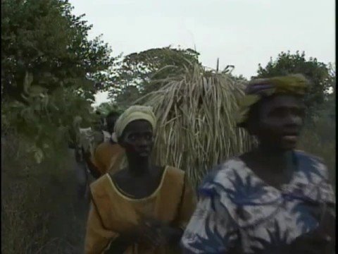 Senegal Travel Doc  Part 10