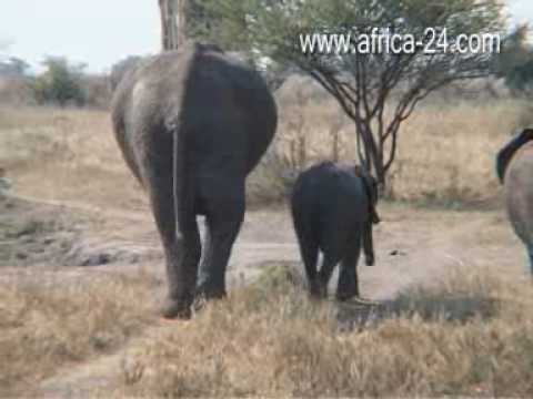 Tanzania Tourism Board - Africa Travel Channel