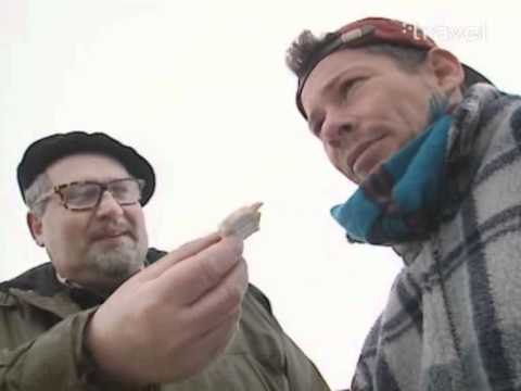 Eating rotten shark in Iceland