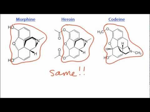 D.3.3 Compare the structures of morphine, codeine and diamorphine (heroin) IB Chemistry SL