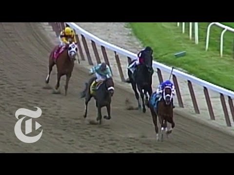 Belmont Stakes Preview 2014 | The New York Times