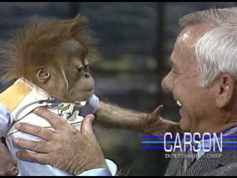 Johnny Apes with an Orangutan