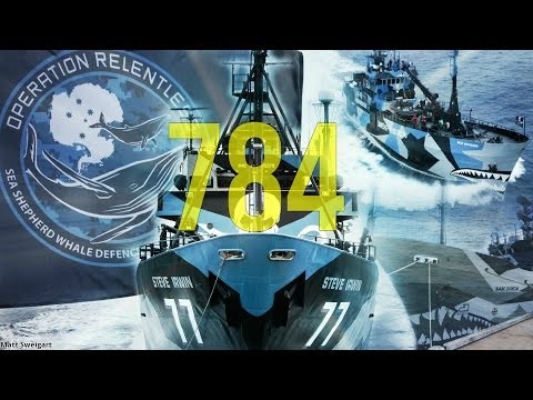 Sea Shepherd Australia - 784