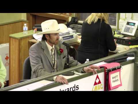 Cattle Auctioneer, The New Rap God