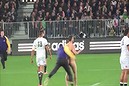 Streaker tackled by security in New Zealand (Thumbnail)