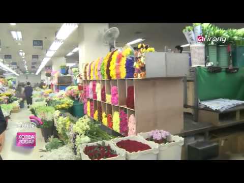 Korea Today - Yangjae Flower Market 양재 꽃 시장