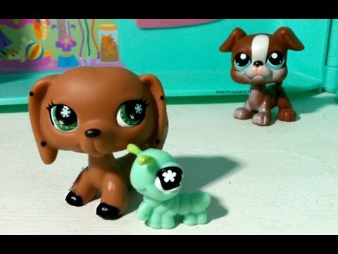 Littlest Pet Shop: The Runaway (REMAKE) Part 1