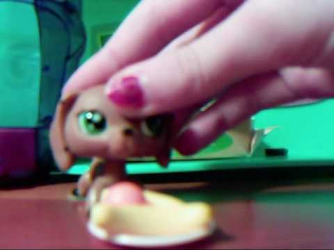 Littlest Pet Shop, The Runaway Part 1