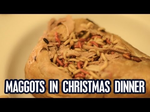 Maggots in Christmas Dinner