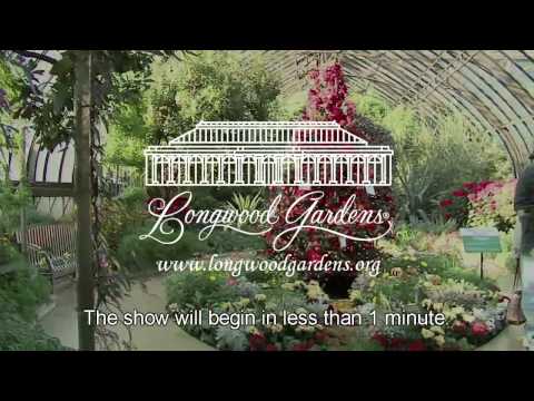 Longwood Gardens Spring Blooms