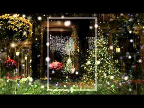 A Longwood Gardens Christmas