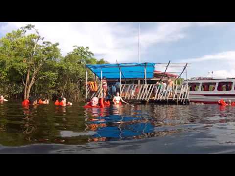 Passeio de barco Manaus