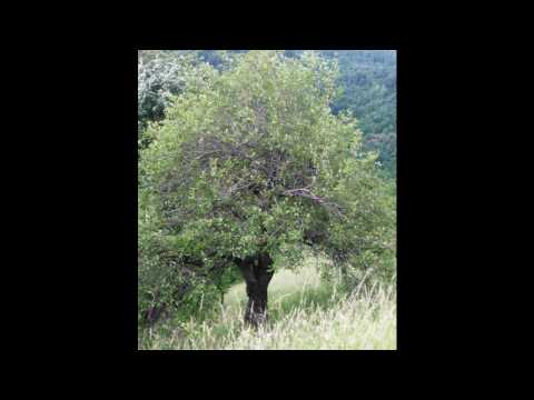 Rural tourism Serbia Ecotourism.wmv