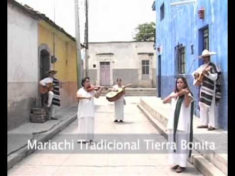 Mariachi, string music, song and trumpet (Mexico)