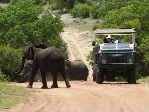 Chobe Game Reserve, Botswana. Travel guide.