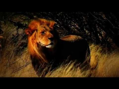 Botswana Tourism - Promo Video