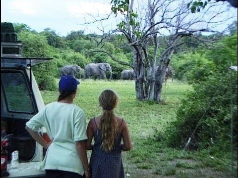 Chobe National Park. Camping in Botswana. Travel guide.