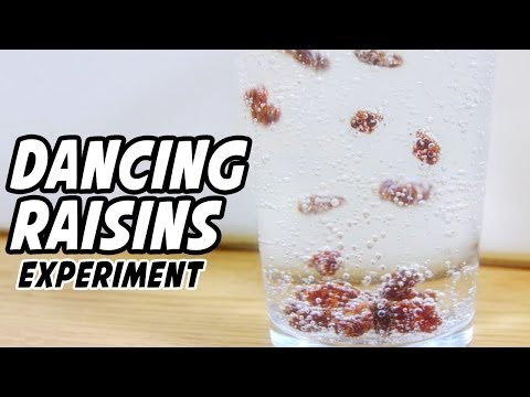 Dancing Raisins Experiment