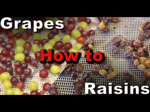 How to make Raisins (Dehydrated Grapes)