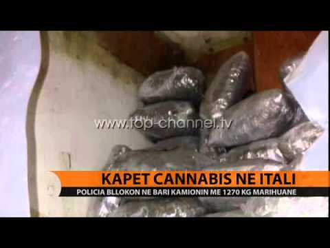 Kapet cannabis në Itali - Top Channel Albania - News - Lajme