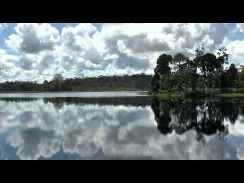 Tasek Merimbun Heritage Park, Brunei Darussalam