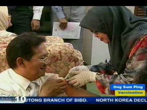 Brunei - H1N1 vaccines available at hospitals, health centres