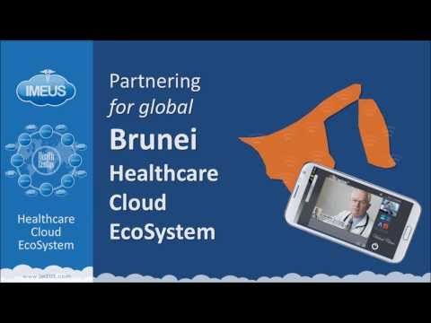 @ IMEUS Healthcare Cloud EcoSystem for Brunei 2013