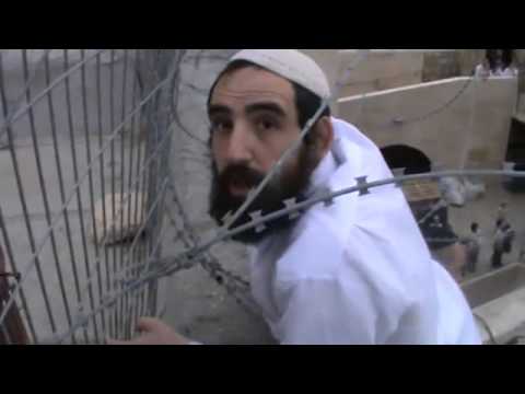 Talmudic Racist ugly Jew gets himself stuck in Palestinian barbwire