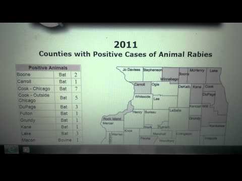 Illinois health officals comfirm rabies outbreak