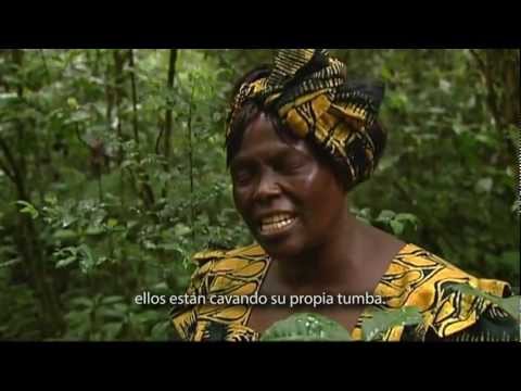 Filme en  tributo a Wangari Maathai