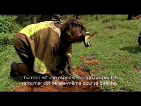 Film Hommage à Wangari Maathai