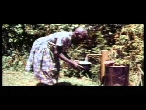 Documentary: Wangari Muta Maathai (1940 - 2011)