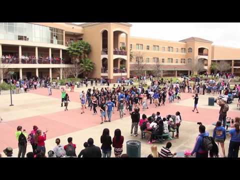 Mainland High School - 