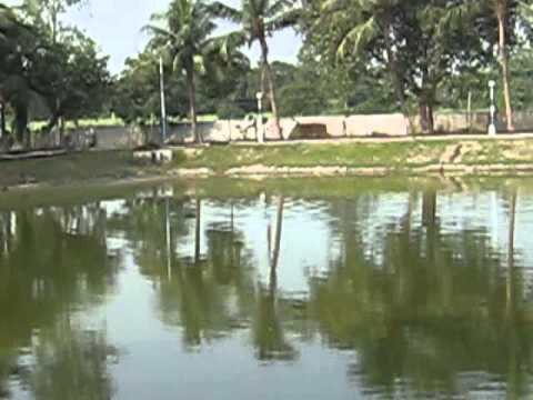 Birth Place of Goddess Sita at PUNAURA, Sitamarhi.flv