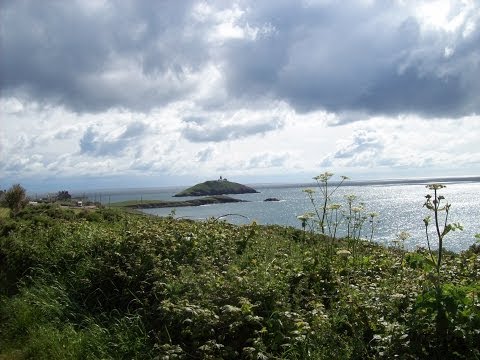 Ballycotton Way Cliff walk , East County Cork , Ireland