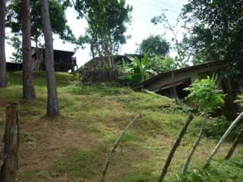 INSIDE COIBA ISLAND, PANAMA PROTECTED PARK TOUR X VILLA MICHELLE PANAMA TRAVEL GUIDE